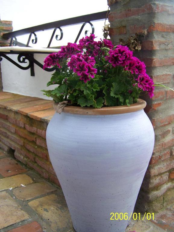 Vivienda Turistica De Alojamiento Rural Silla Vieja Vejer de la Frontera Exterior photo